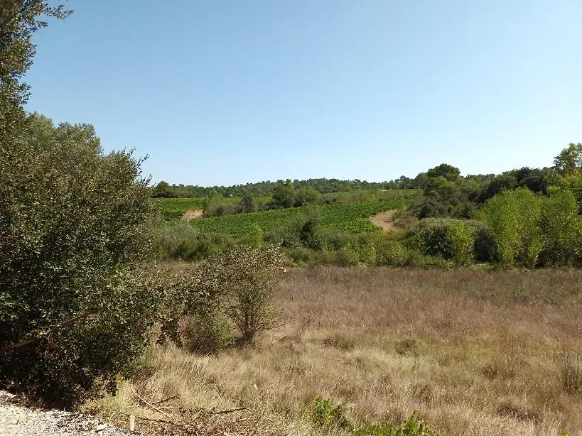 Appartement Dans Les Vignes Varoises Brue-Auriac Apartment